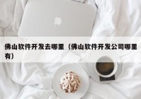 佛山软件开发去哪里（佛山软件开发公司哪里有）