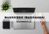 佛山软件开发培训（佛山软件培训机构）