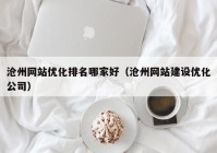 沧州网站优化排名哪家好（沧州网站建设优化公司）