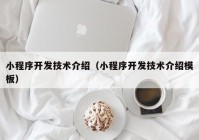 小程序开发技术介绍（小程序开发技术介绍模板）