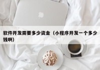软件开发需要多少资金（小程序开发一个多少钱啊）